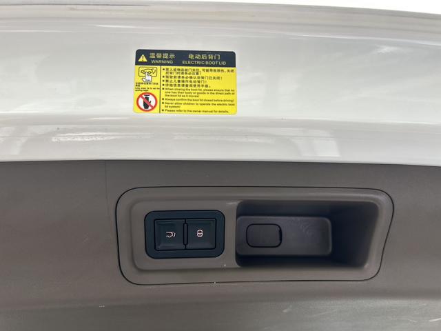 Denza D9 DM 2022 970 4WD Flagship – фото 28