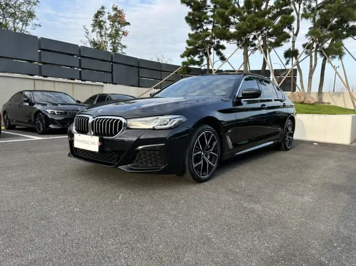 BMW 5 Series 2021 Model 530Li Exclusive Model M Sports Set – фото 1