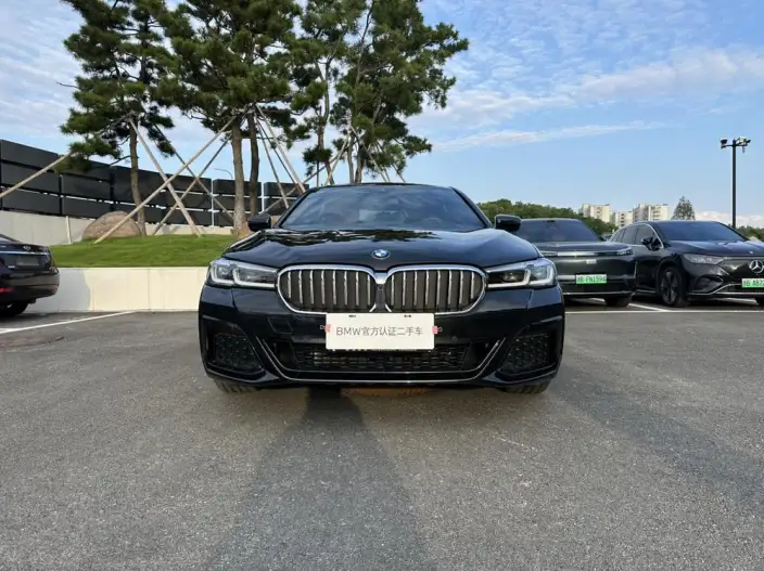 BMW 5 Series 2021 Model 530Li Exclusive Model M Sports Set – фото 2