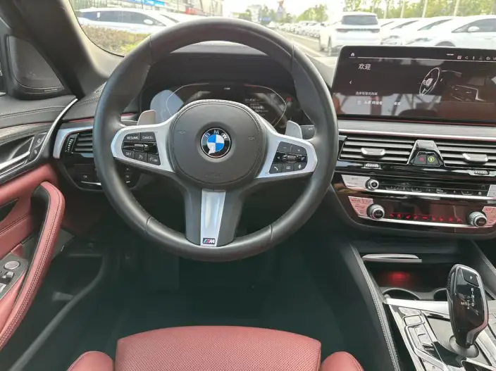 BMW 5 Series 2021 Model 530Li Exclusive Model M Sports Set – фото 10