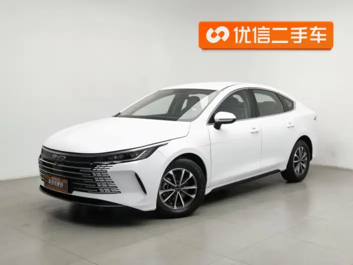 BYD Destroyer 05 2023 Model DM-i Champion Edition 55KM Luxury Model – фото 1