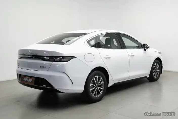BYD Destroyer 05 2023 Model DM-i Champion Edition 55KM Luxury Model – фото 4
