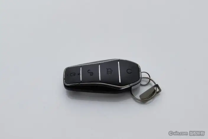 BYD Destroyer 05 2023 Model DM-i Champion Edition 55KM Luxury Model – фото 6