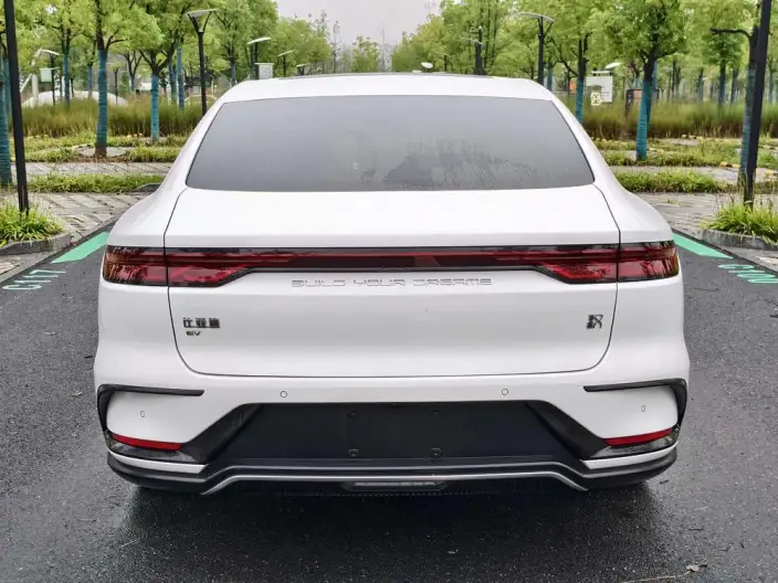 BYD Han EV 2023 Model Champion Edition 506KM Noble Model – фото 5