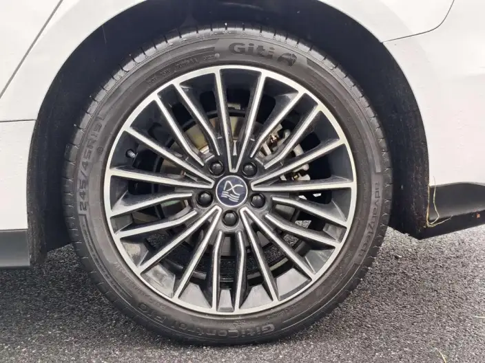 BYD Han EV 2023 Model Champion Edition 506KM Noble Model – фото 8