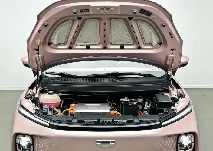 Geely Geometry E Firefly 2024 Model 301KM Xingguang – фото 10