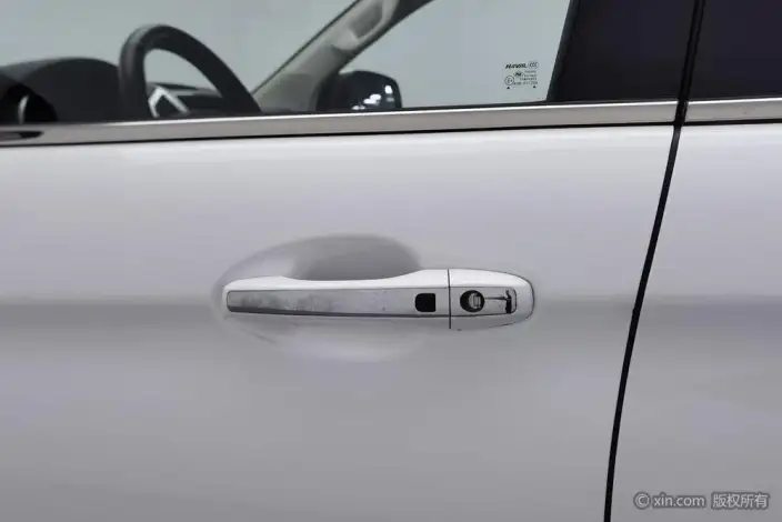 Haval H9 2020 Model 2.0T Petrol 4WD Elite Model 5 seat – фото 9