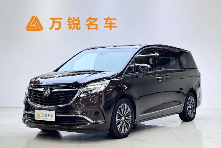 Buick GL8 2021 Model ES Luzun 653T Flagship Model – фото 1