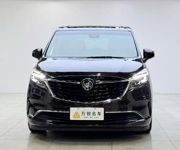 Buick GL8 2021 Model ES Luzun 653T Flagship Model – фото 2