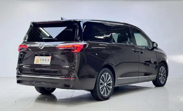 Buick GL8 2021 Model ES Luzun 653T Flagship Model – фото 4