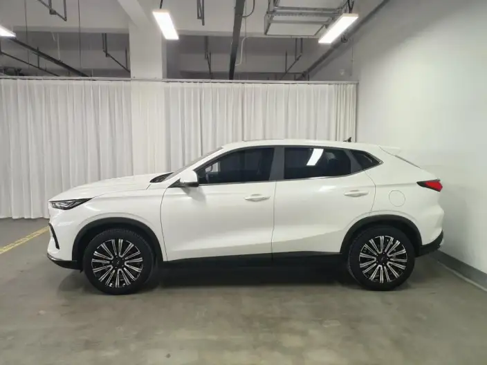Changan Oshan X5 2021 Model Facelift 1.5T DCT Luxury Model – фото 4