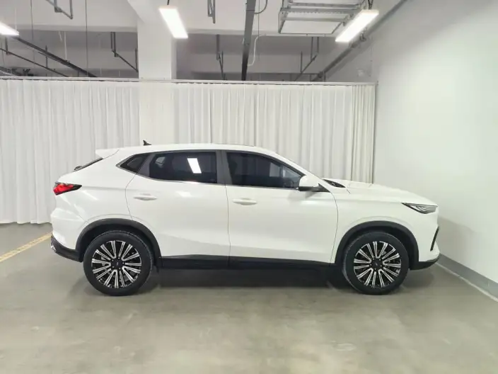 Changan Oshan X5 2021 Model Facelift 1.5T DCT Luxury Model – фото 8