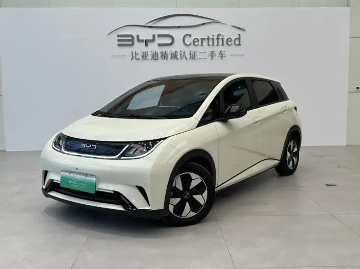 BYD Dolphin 2024 Model Honor Edition 420km Fashion Edition – фото 1