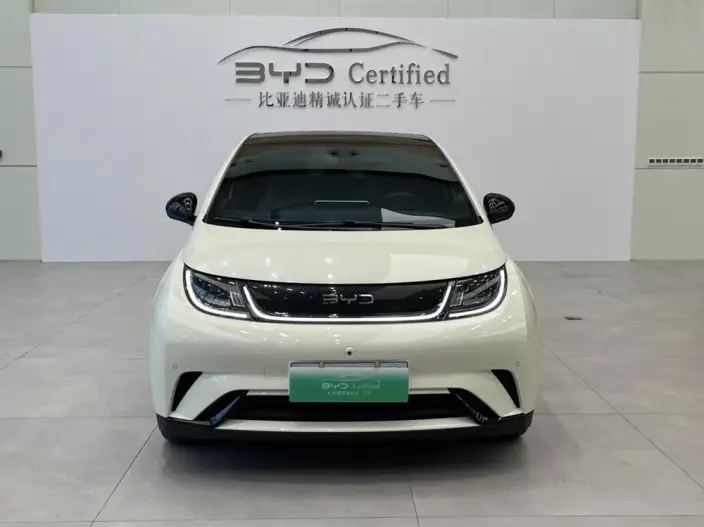 BYD Dolphin 2024 Model Honor Edition 420km Fashion Edition – фото 2