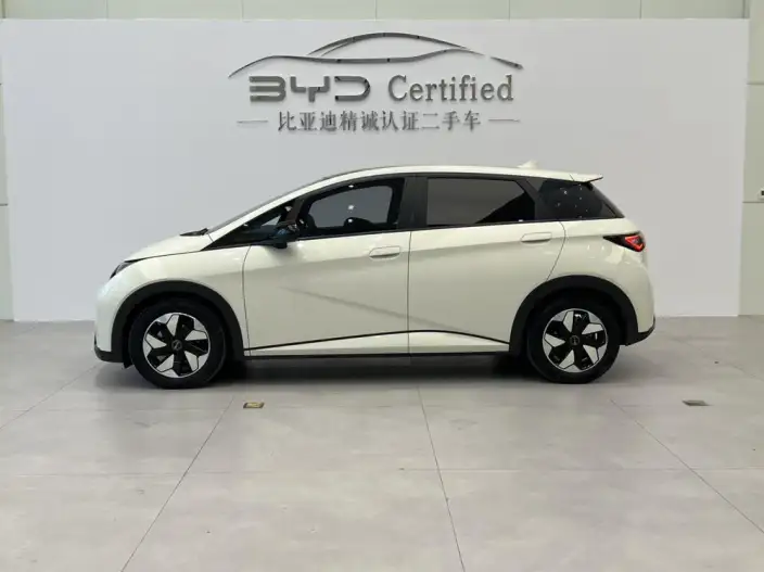 BYD Dolphin 2024 Model Honor Edition 420km Fashion Edition – фото 3