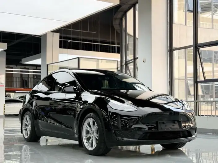 Model Y 2022 Model Facelift Rear-wheel drive version – фото 3
