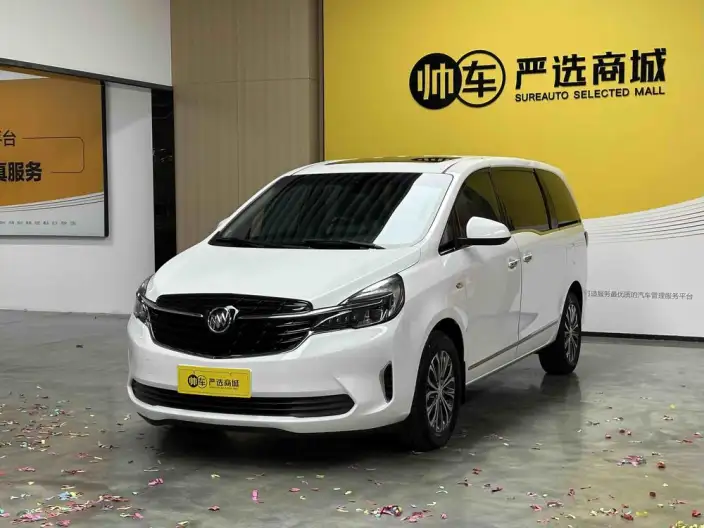 Buick GL8 2021 Model Business class 652T Luxury Model – фото 1