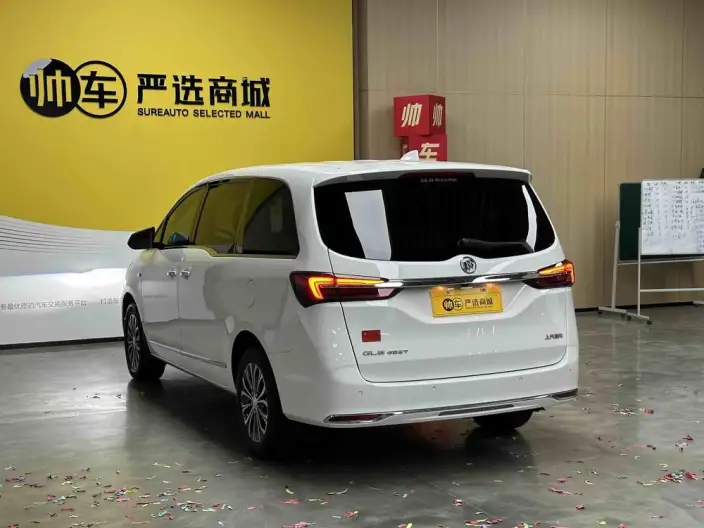 Buick GL8 2021 Model Business class 652T Luxury Model – фото 4