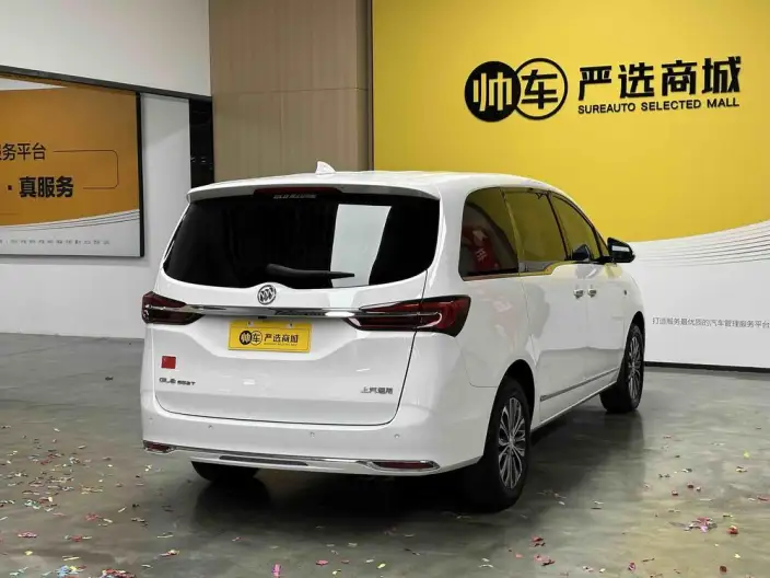 Buick GL8 2021 Model Business class 652T Luxury Model – фото 6