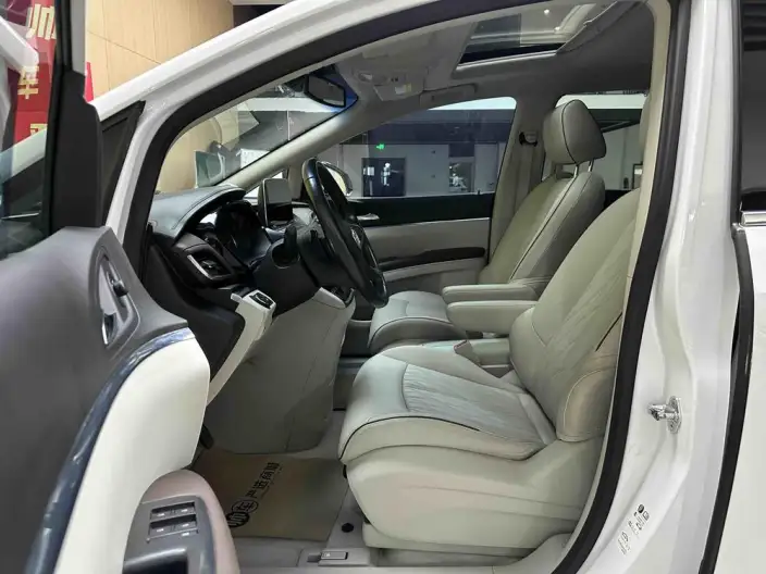Buick GL8 2021 Model Business class 652T Luxury Model – фото 8