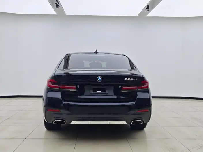 BMW 5 Series 2023 Model Facelift 530Li Leading Model M Sports Set – фото 5