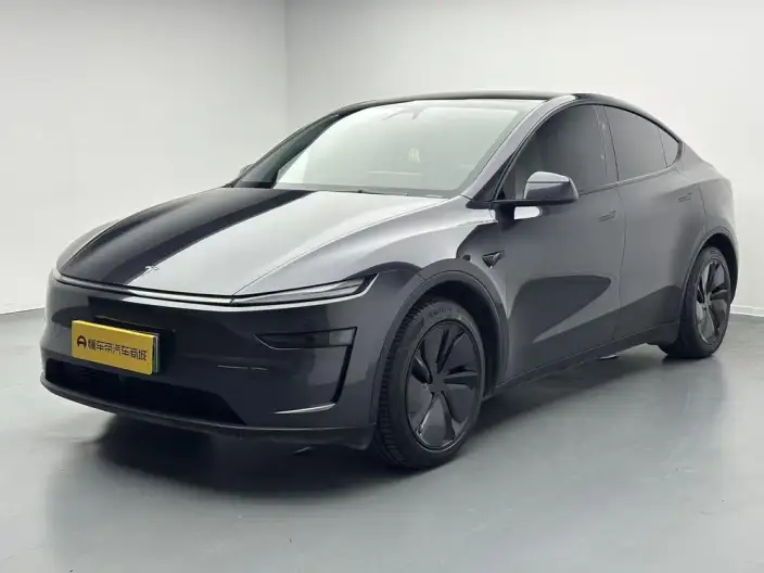 Model Y 2025 Model Rear-wheel drive version – фото 1
