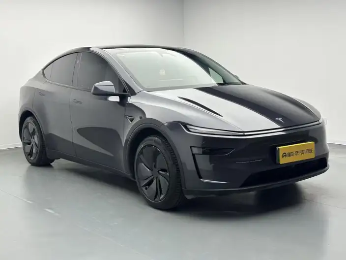 Model Y 2025 Model Rear-wheel drive version – фото 3