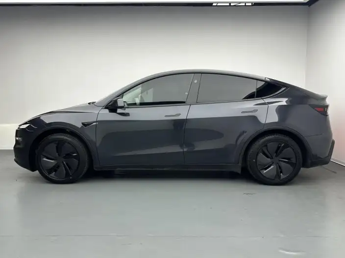 Model Y 2025 Model Rear-wheel drive version – фото 4