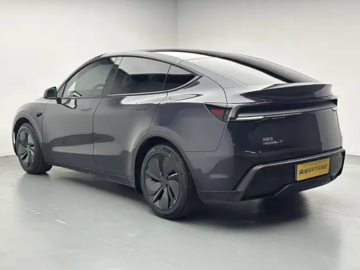 Model Y 2025 Model Rear-wheel drive version – фото 5