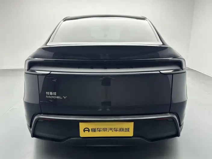 Model Y 2025 Model Rear-wheel drive version – фото 6