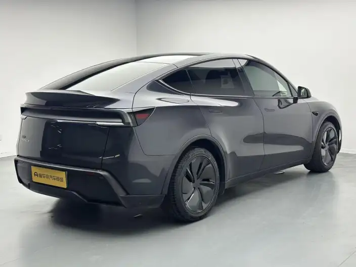 Model Y 2025 Model Rear-wheel drive version – фото 7