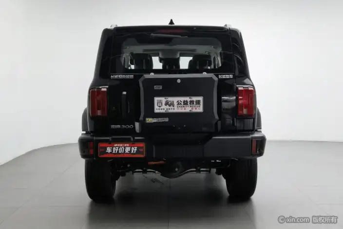 Tank 300 2024 Model 2.0T Challenger – фото 2