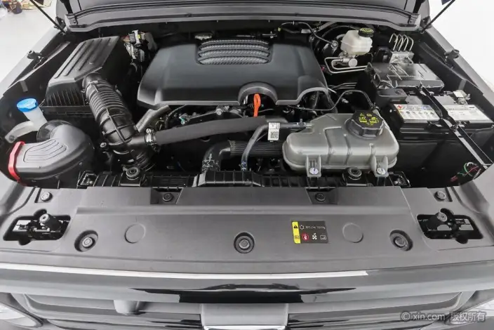 Tank 300 2024 Model 2.0T Challenger – фото 4