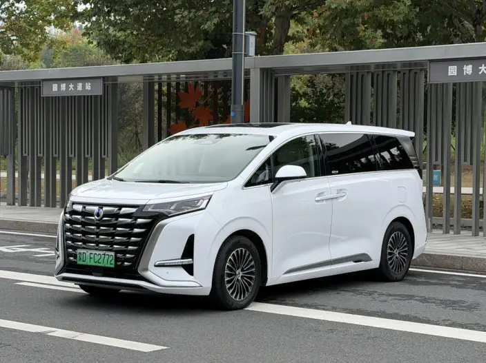 DENZA D9 DM 2024 Model 980 4WD Zunrong Model – фото 1