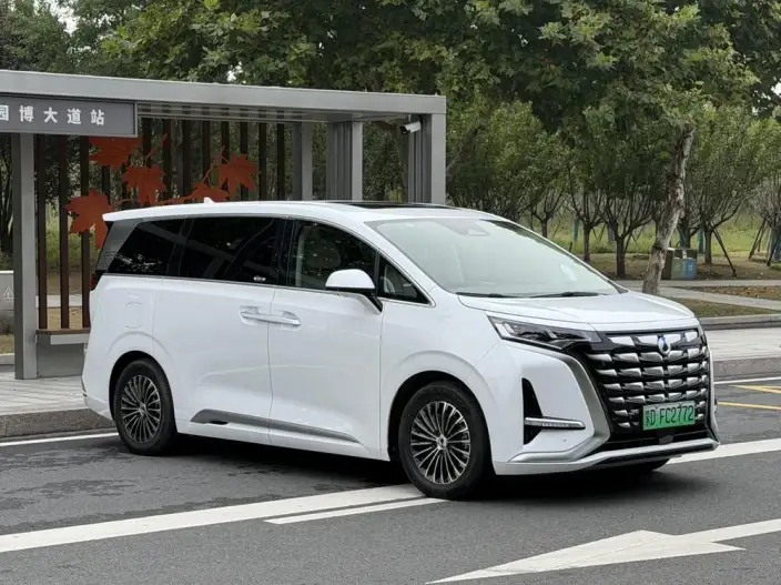 DENZA D9 DM 2024 Model 980 4WD Zunrong Model – фото 3