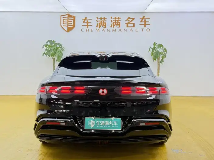 DENZA Z9GT DM 2024 Model 1100 4WD Max Edition – фото 3