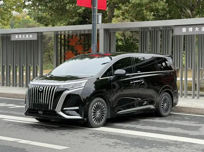 Denza D9 EV 2022 Model 600 4WD Flagship Model – фото 1