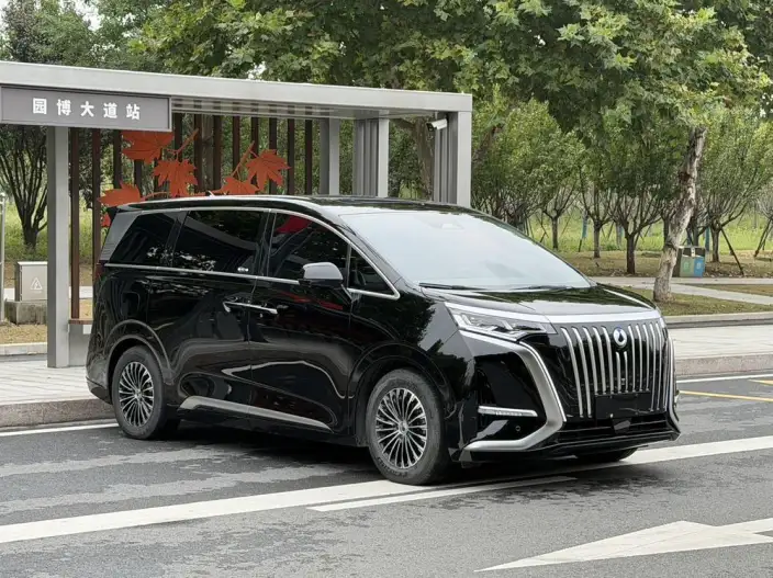 Denza D9 EV 2022 Model 600 4WD Flagship Model – фото 3