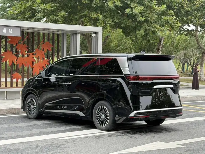 Denza D9 EV 2022 Model 600 4WD Flagship Model – фото 4