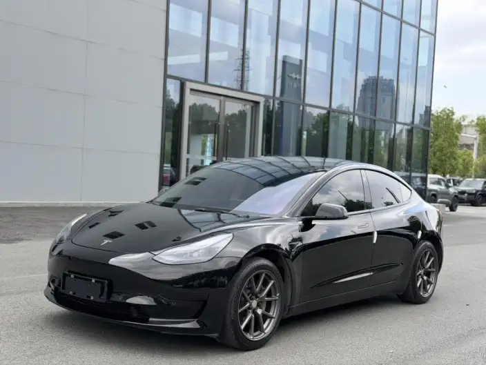 Model 3 2022 Model Rear-wheel drive version – фото 1