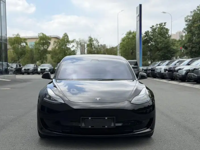 Model 3 2022 Model Rear-wheel drive version – фото 2