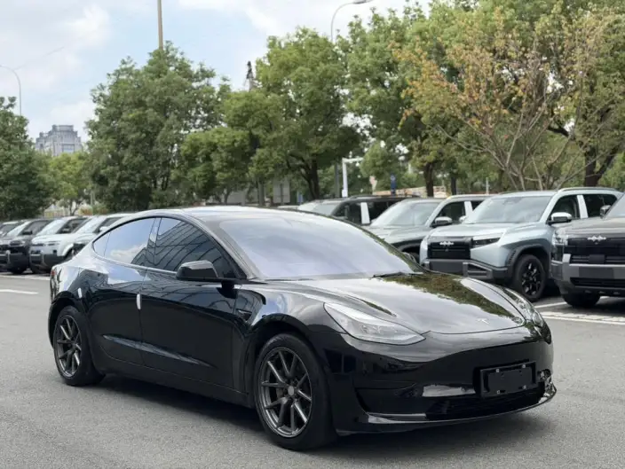 Model 3 2022 Model Rear-wheel drive version – фото 3