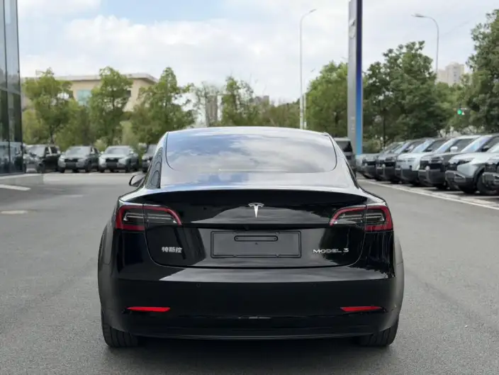 Model 3 2022 Model Rear-wheel drive version – фото 5