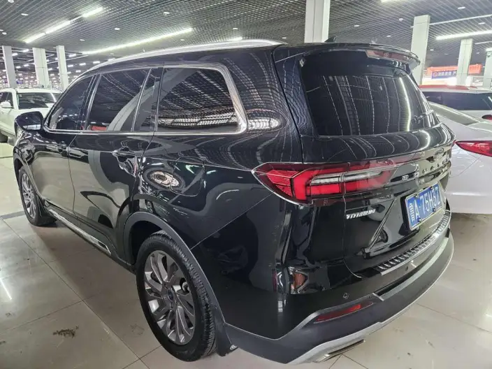 Lingyu 2021 Model EcoBoost 225 6 seat Zun Ling Model Plus – фото 4