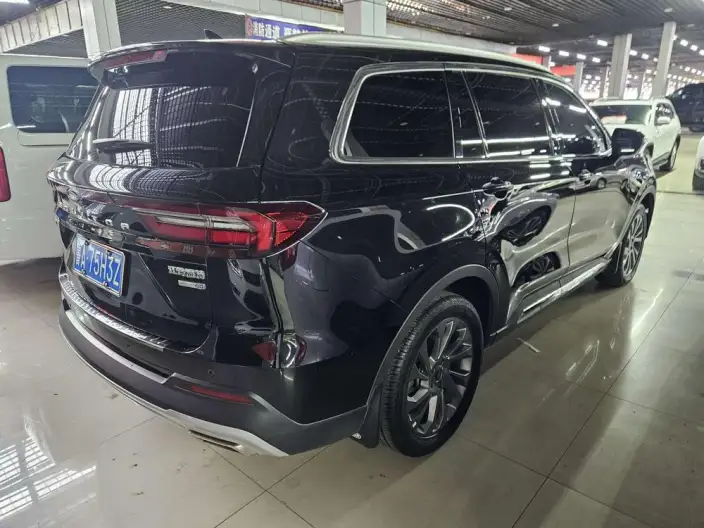 Lingyu 2021 Model EcoBoost 225 6 seat Zun Ling Model Plus – фото 6