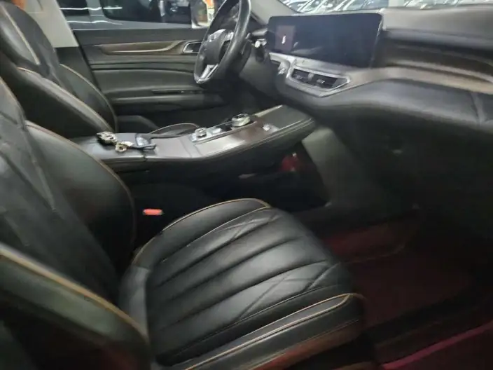 Lingyu 2021 Model EcoBoost 225 6 seat Zun Ling Model Plus – фото 7