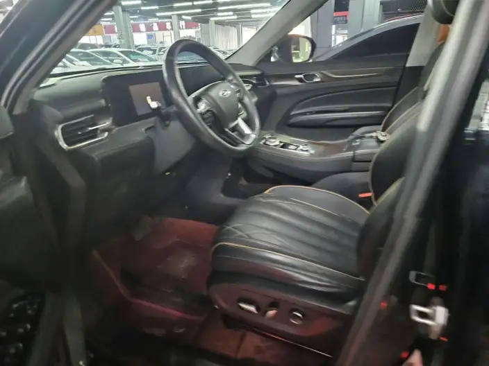 Lingyu 2021 Model EcoBoost 225 6 seat Zun Ling Model Plus – фото 8