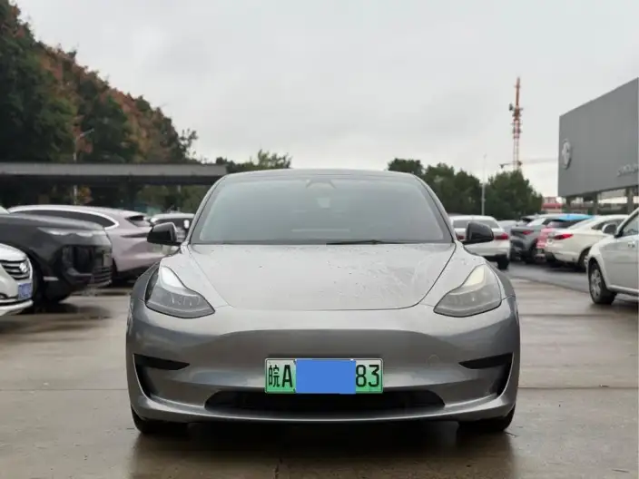 Model 3 2021 Model Standard Battery Life Rear Drive L Class Edition 3D1