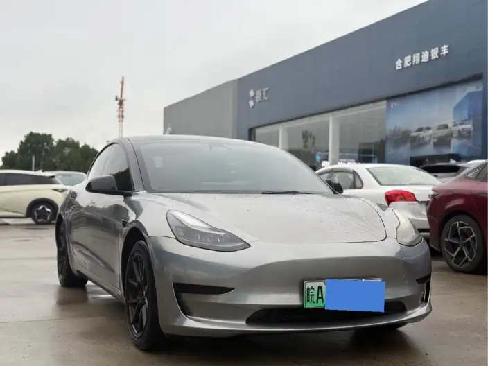 Model 3 2021 Model Standard Battery Life Rear Drive L Class Edition 3D1