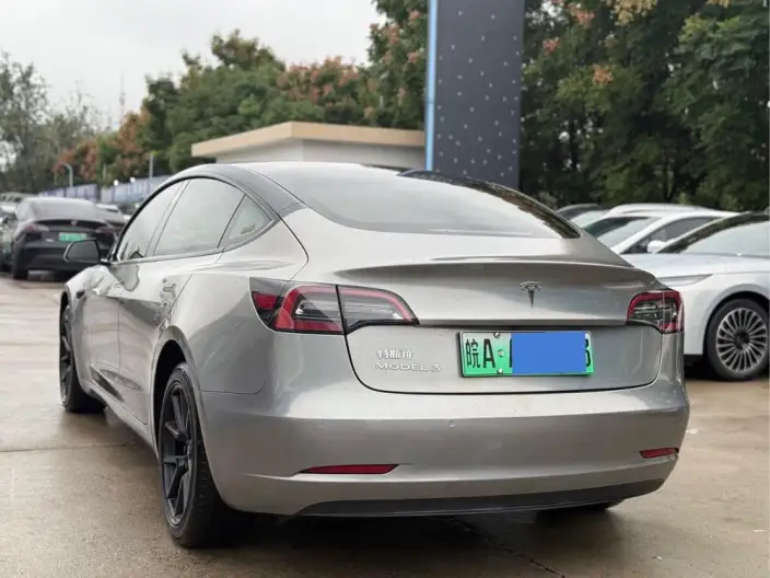 Model 3 2021 Model Standard Battery Life Rear Drive L Class Edition 3D1